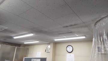 交換後の同じ壁側の天井。LED照明器具が点灯している